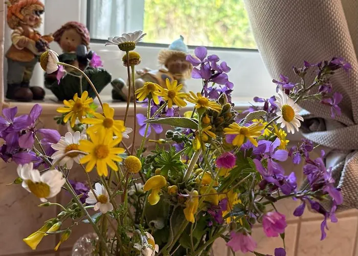 펜션 Casa Dimilia *