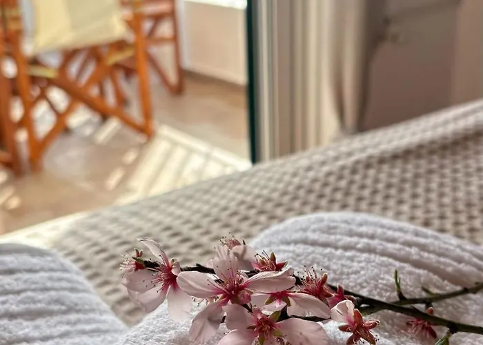 펜션 Casa Dimilia *